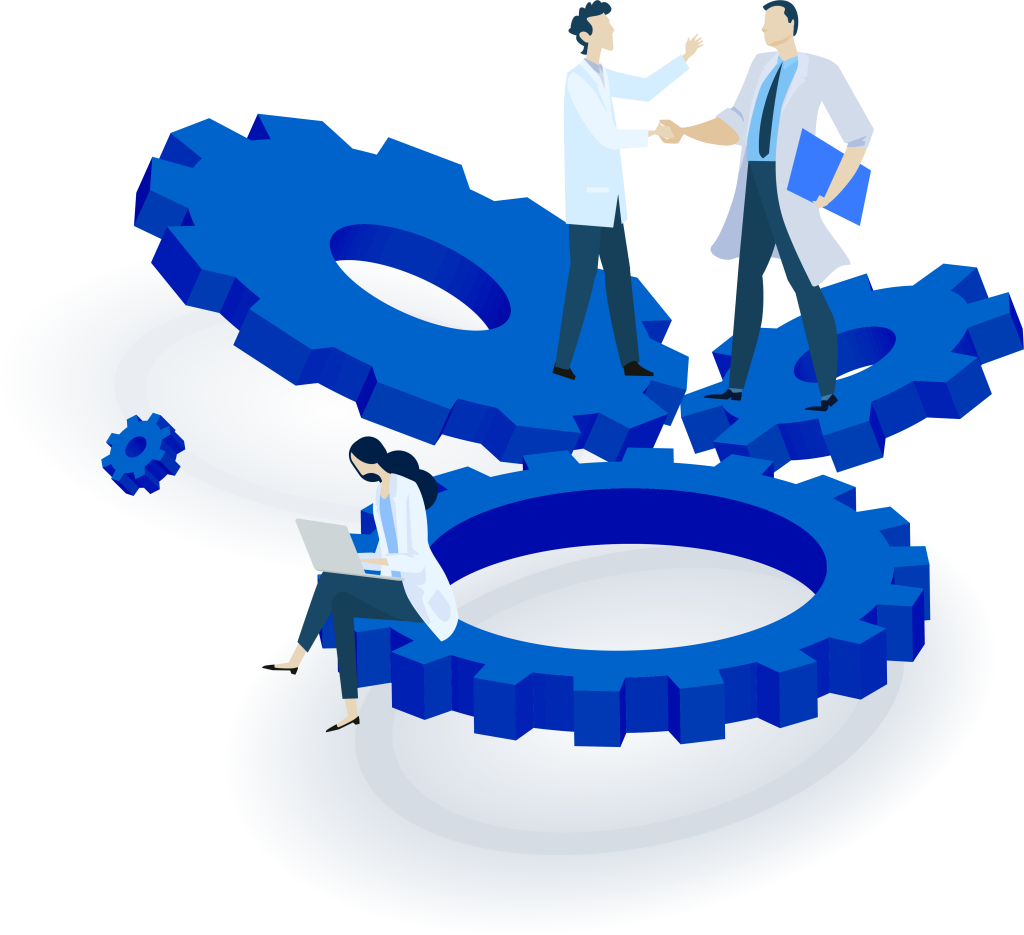 IVDR Translation Process