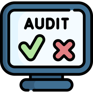audit report translation